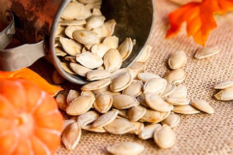 Заготовка тыквенных семечек - AgroFlora.ru