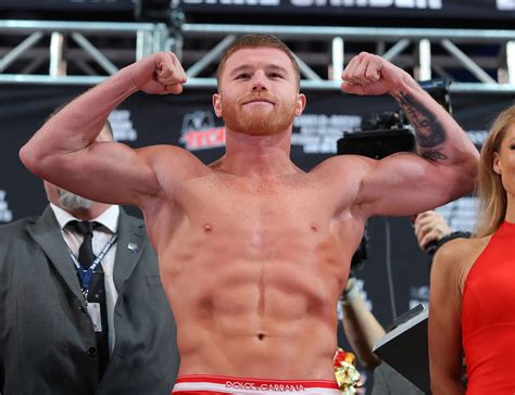 Canelo has Garden Party; Stops Fielding in 3 to win Super Middleweight ...