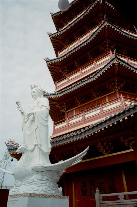 Photography - New China town