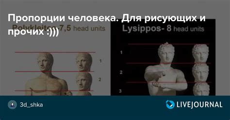 Пропорции человека. Для рисующих и прочих :))): 3d_tutorials — LiveJournal