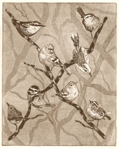 Birds Etching-bird Print Bird Art drawing of Birds garden - Etsy
