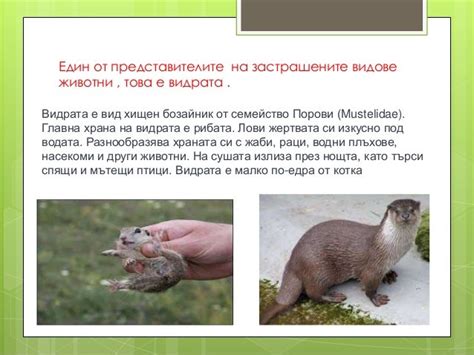 Червената книга на Република България