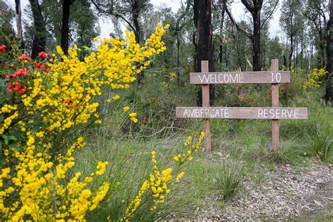 GC5NVAR Ambergate Nature Reserve (Multi-cache) in Western Australia, Australia created by WA_Puzzler