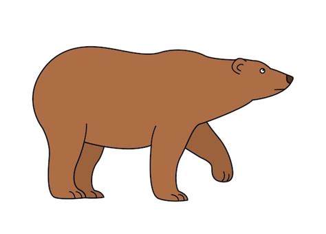Premium Vector | Illustration of a big bear