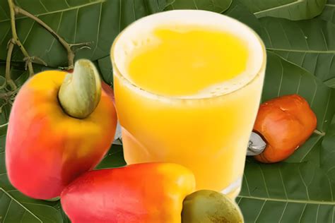 Suco De Caju É Bom Para Que - Suco De Caju: Vilão Ou Aliado Para A Gastrite? – XYNI