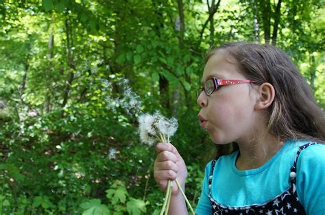 Dandelion Flower Child - Free photo on Pixabay - Pixabay