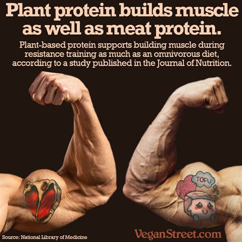 Plant protein builds muscle - Vegan Street – Building Vegan Community