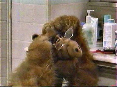 alf - Alf Photo (7617786) - Fanpop
