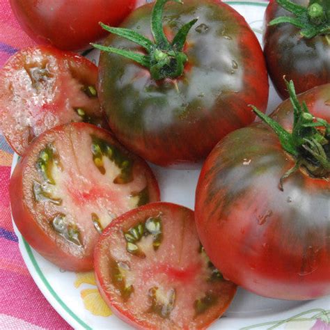 BLACK PRINCE TOMATO SEEDS 50 Seeds – SEEDS FROM PLANTS