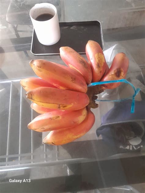 mimpi di kasih pisang 2d 9