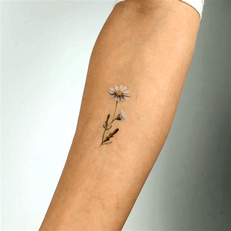 Daisy Tattoo Meaning - Body Tattoo Art