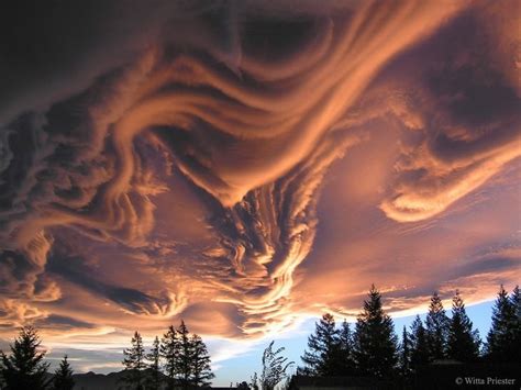 14 Unbelievable Optical Illusions in Nature
