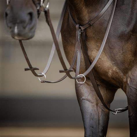 This is what you need to know before buying a new martingale for your