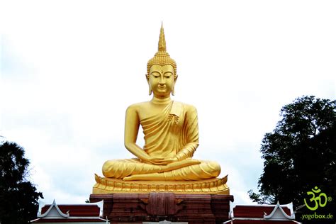 Metta Meditation - Yoga Blog