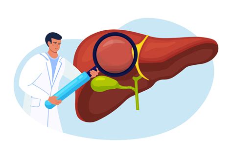 Cirrhosis of the Liver Symptoms: Detecting Signs for Liver Health