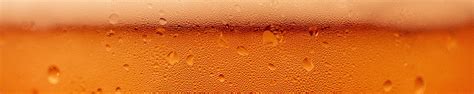 cheers     guide   top beer festivals   world