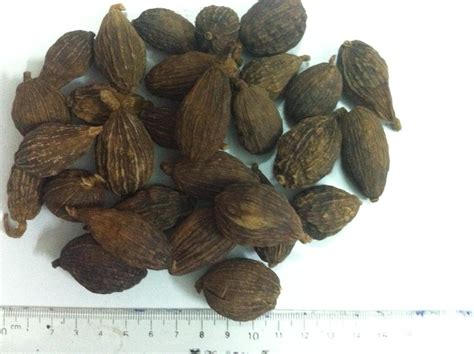 Cardamom | Nam An Spices