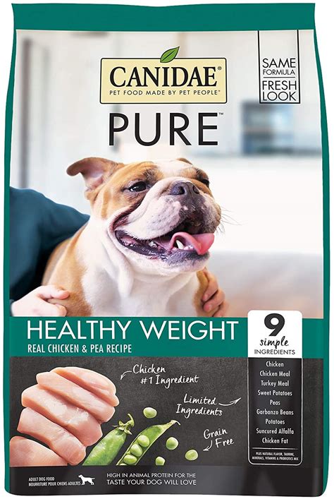 Best Dog Food for Pancreatitis | What to Feed Your Dog With Pancreatitis