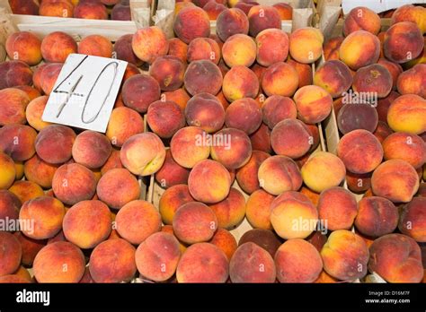 Vojvodina fruit hi-res stock photography and images - Alamy