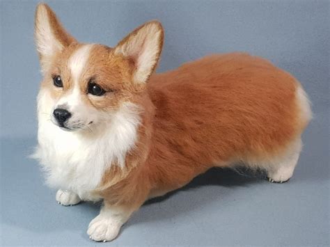 Интерьерная игрушка . Корги выполнен из овечьей шерсти