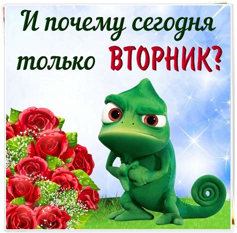 Прикольные картинки про Вторник