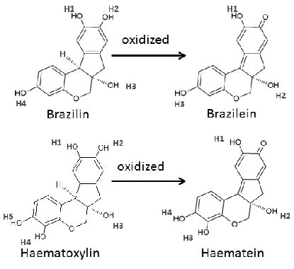 Molecular structure of brazilin, brazilein, haematoxylin and haematein ...