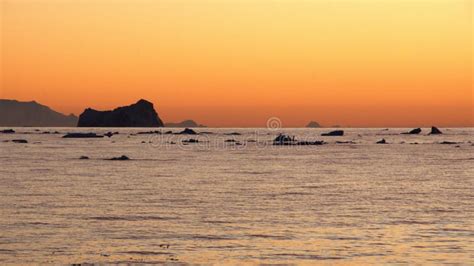 Sunset in Antarctica stock image. Image of freezing - 260406183