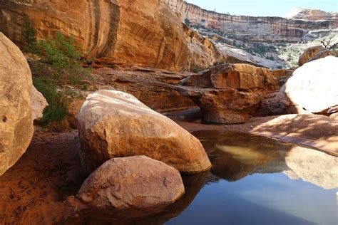The tiny hidden desert ponds in Natural Bridges National Monument. : r