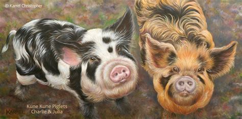 KARREL's Creative Path: Kune Kune Piglets ~ oil portrait