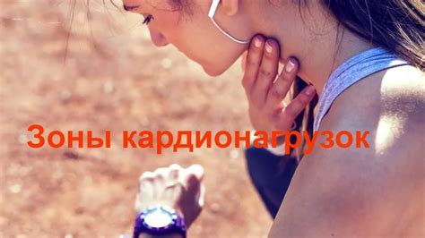 Зоны пульса кардиотренировок. Зачем мерить пульс при беге. Стадион для ...