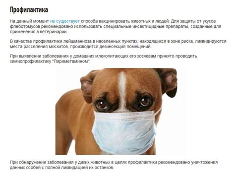 Протозойные инфекции - презентация онлайн