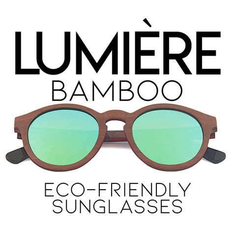 Eco-Friendly Bamboo Sunglasses - Backer Guru