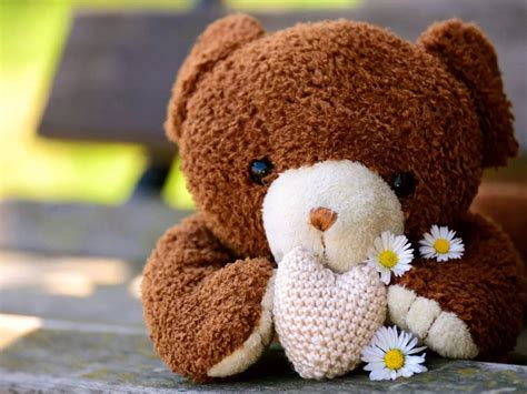 Incredible Compilation of Full 4K Teddy Images: Over 999+ Captivating ...