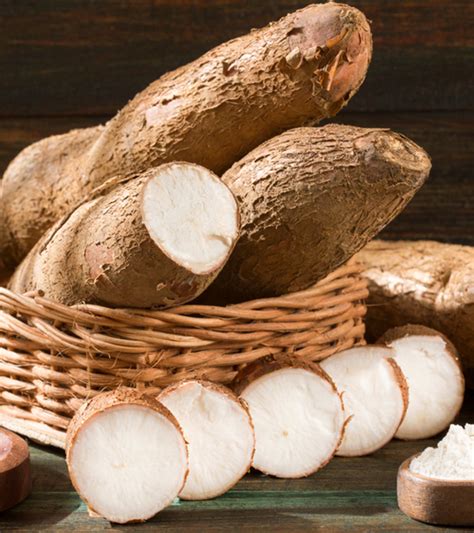 Arrowroot History In Hindi | अरारोट का इतिहास