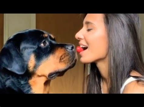 Artofzoo Mariela Mating