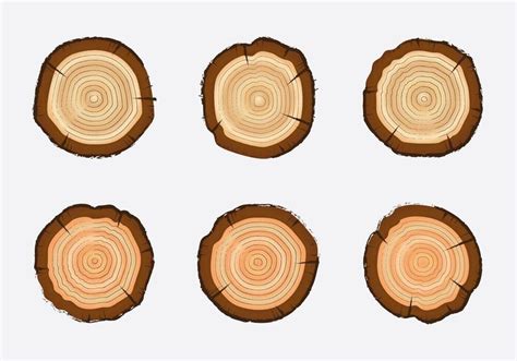 tree circle vector art icons  graphics