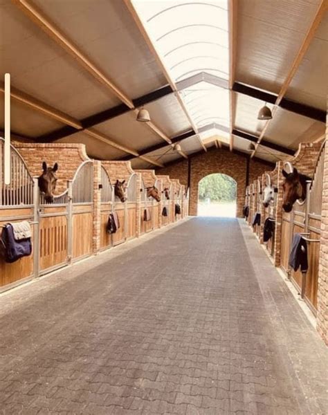 Luxury Horse Barn Designs - Nordic Style