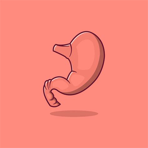 Stomach cartoon style icon illustration 5618788 Vector Art at Vecteezy