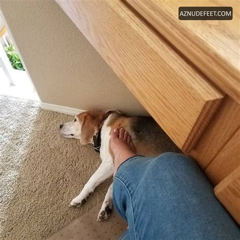 TRACY WELLS Feet - AZNudeFeet