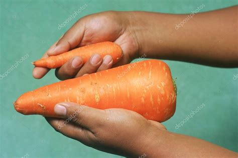 Giant Weta Carrot