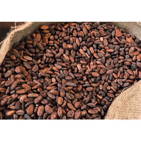 Buy Wholesale United Kingdom High Quality Organic Dried Grade A Cocoa ...