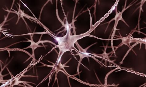 nerve impulse images browse  stock  vectors  video