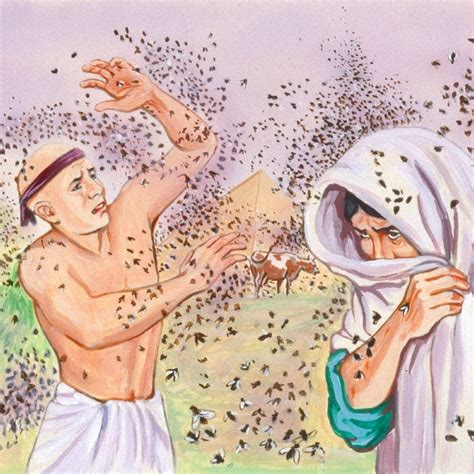 The 10 Plagues | Bible Story | Plagues of egypt, Bible stories, 10 plagues