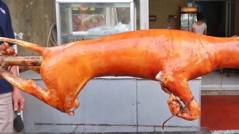 roasted dog