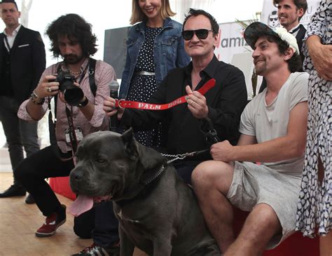 Quentin Tarantino’s ‘Hollywood’ Wins First Cannes Honor: A Palm Dog ...