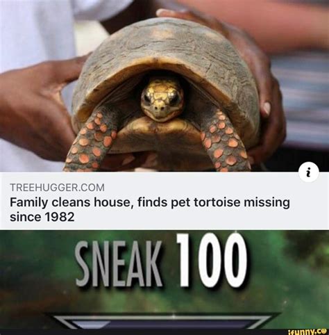 Toxic memes | Memes Amino