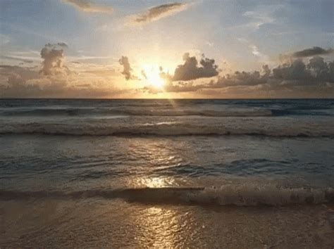 Beach Sea GIF - Beach Sea Ocean - Discover & Share GIFs