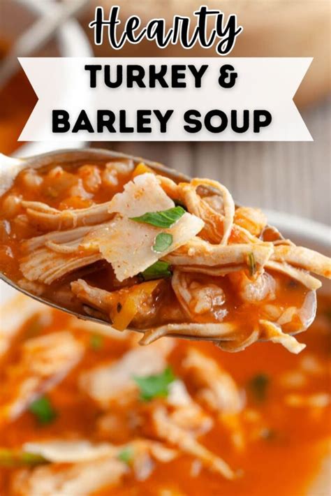 Hearty Turkey And Barley Soup Recipe