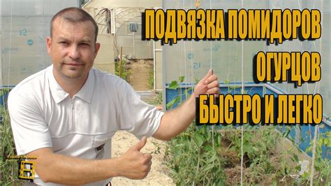 ПОДВЯЗКА ПОМИДОРОВ (ОГУРЦОВ) БЫСТРО И ЛЕГКО. САД (ОГОРОД) И ТЕПЛИЦА ...