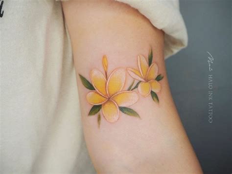 amazing plumeria tattoo ideas     artofit